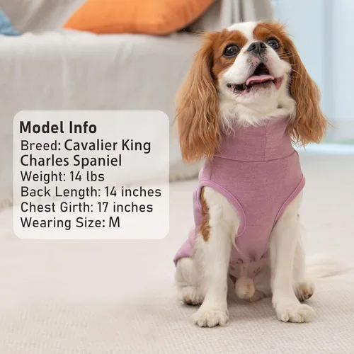 Miniatura 4 de KYEESE Paquete de 2 suéteres suaves para perros, ropa cálida para mascotas, abrigos de cuello alto para mascotas, suéteres para perros pequeños