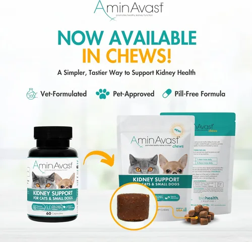 Miniatura 4 de AminAvast Apoyo renal para perros pequeños y gatos - Promueve el apoyo renal saludable en gatos y perros pequeños - 300 mg, 60 cápsulas