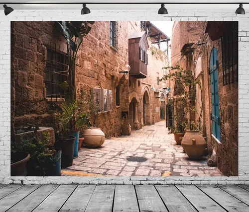 Miniatura 4 de BELECO Telón de fondo de tela de 5 x 3 pies, diseño de calle de la ciudad vieja, Israel, casas de piedra, macetas, nostalgia, fotos, fondo