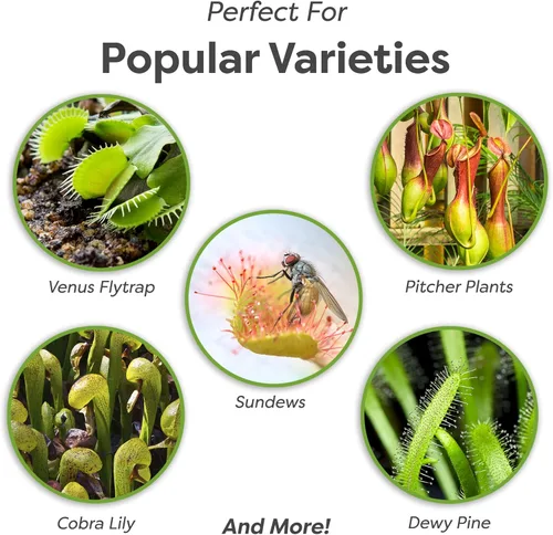 Miniatura 3 de Perfect Plants Suelo para plantas carnívoras Mezcla orgánica premium de 4 cuartos de galón Uso con trampas para moscas Venus, plantas de jarra u