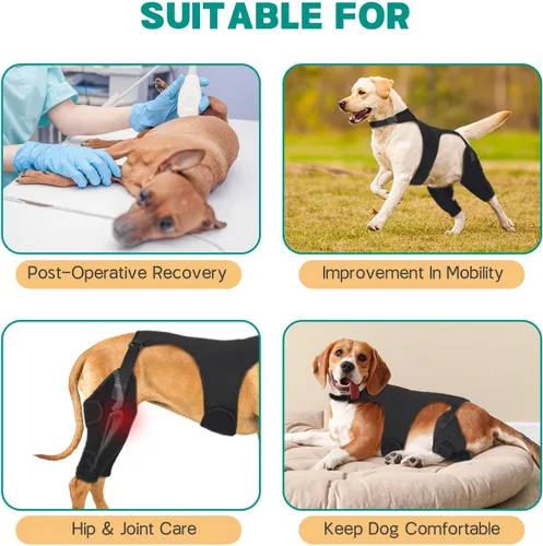 Miniatura 5 de Rodilleras ajustables para patas de perro para pierna trasera, con 4 estabilizadores, ACL para reducir el dolor, lesiones de ligamentos y rótula