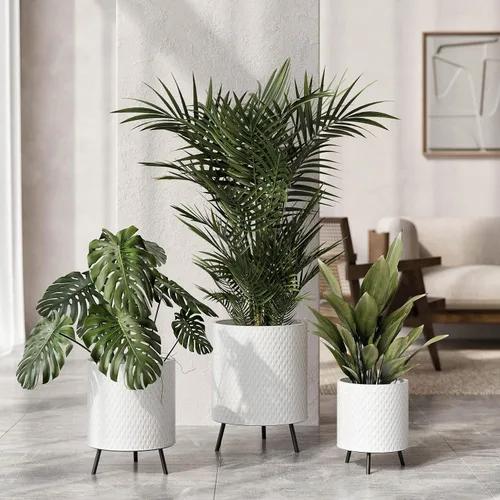 Miniatura 2 de EverNest Claire - Maceta blanca neutra de panal con soporte Nyra, macetas de interior, SelectBase, estilo bohemio moderno de mediados de siglo