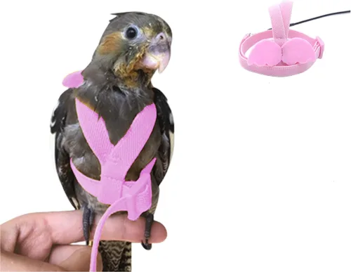 Miniatura 6 de Arnés para pájaros, correa de loro, kit ajustable para volar al aire libre para loro, budgie, tortolito, cacatúa, guacamayo (morado, S)