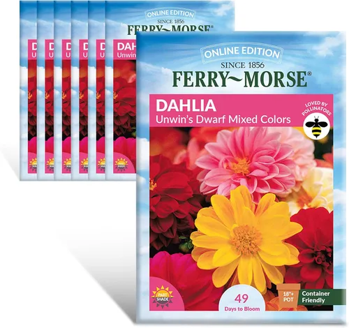 Miniatura 7 de Ferry-Morse Online Edition Tomato Supersweet 100 semillas híbridas – Alta tasa de germinación, sin OGM – Paquete de 8 Tomato Supersweet 100 Hybrid