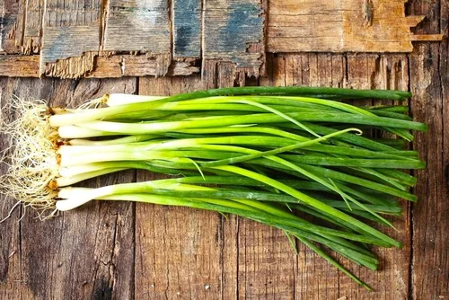 Miniatura 5 de Semillas Cebollas Verdes Batun Más de 300 Semillas para Cultivar Cebollas Heirloom Bunching Onions Cebolletas Cebolletas