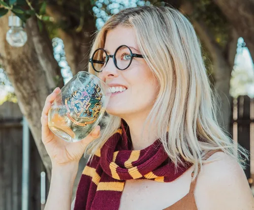 Miniatura 3 de Silver Buffalo Harry Potter Hogwarts Crest - Vaso sin tallo con caja de exhibición, 20 onzas Escudo clásico de Hogwarts de Harry Potter
