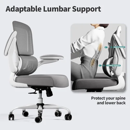 Miniatura 8 de TRALT Silla de oficina – Silla de escritorio ergonómica con soporte lumbar ajustable, silla de computadora de malla, sillas ejecutivas para oficina