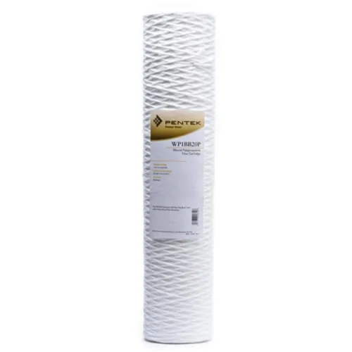 Pentair Pentek WP1BB20P - Filtro de agua de sedimentos azules grandes, 20 pulgadas, cartucho de filtro de polipropileno para toda la casa, 20 x 4.5