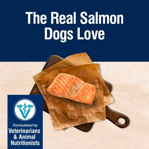 Miniatura 3 de Blue Buffalo True Solutions - Alimento seco natural para el cuidado de la piel y el pelaje para perros adultos, salmón, bolsa de 11 lb