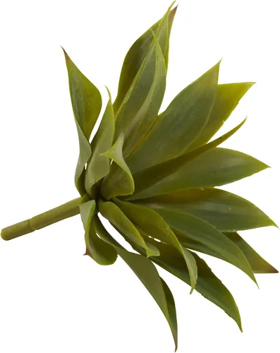 Miniatura 4 de Nearly Natural 6110-S12 Planta suculenta de agave, mini, juego de 12