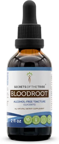 Secrets of the Tribe Tintura de raíz sanguínea Extracto sin alcohol, raíz de sangre cultivada responsablemente (Sanguinaria Canadensis) Suplemento