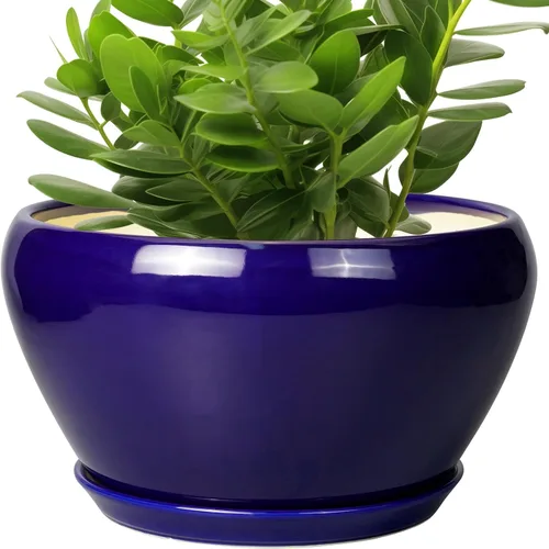 Miniatura 12 de Maceta de Cerámica Moderna con Esmalte para Suculentas con Agujero de Drenaje y Platillo, Maceta Redonda de 6 Pulgadas para Plantas de Flores