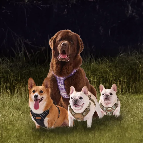 Miniatura 2 de Arnés para perro sin tirones, chaleco ajustable para perro para caminar fácilmente, material Oxford transpirable, arnés reflectante para mascotas