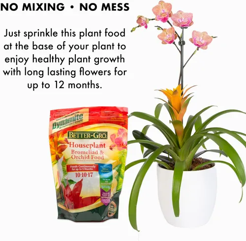 Miniatura 4 de Better Gro Orchids, bromelias y plantas de interior Alimento/fertilizante para plantas de liberación lenta [FERT25]