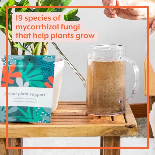 Miniatura 5 de Soporte instantáneo para plantas Probióticos de suelo y micorrizas para plantas de interior y jardines de interior Sin olor - Sin polvo - Sin