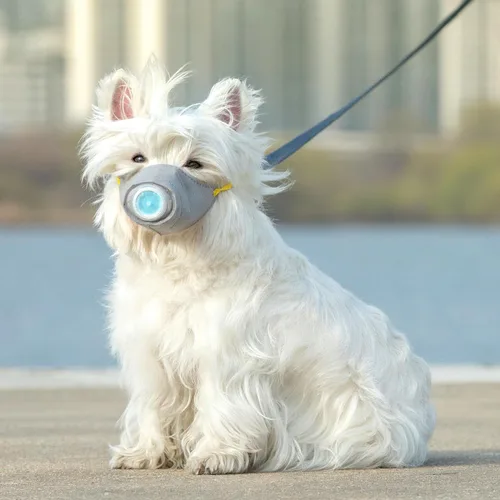 Miniatura 6 de Cubrebocas protector transpirable para perro, para polvo, 5 filtros, ajustable, cara de perro pequeño para contaminación al aire libre, bozal ligero