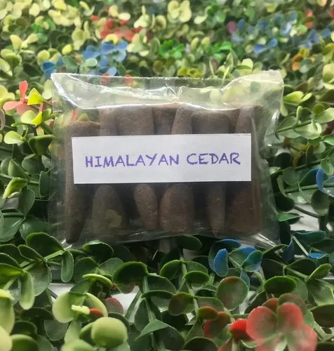 Conos de incienso de cedro del Himalaya (25 conos) – Conos de incienso 100% naturales – Conos de incienso de Navidad – Incienso tradicional indio