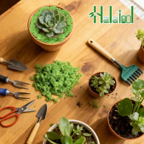 Miniatura 8 de Halatool Musgo de reno preservado para manualidades, musgo verde para terrarios, jardines de hadas, manualidades, decoración del hogar, ideal