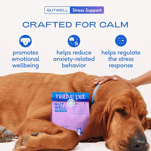 Miniatura 2 de Native Pet GutWell - Suplemento calmante para aliviar la ansiedad y aliviar la ansiedad del perro, promueve el bienestar emocional, regula