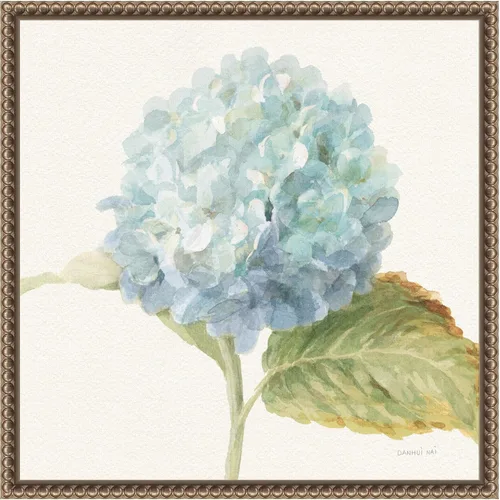 Amanti Art Lienzo enmarcado para pared, 16 x 16 pulgadas, saco floral V cultivo de hortensia azul por Danhui Nai, lienzo enmarcado para pared, obras