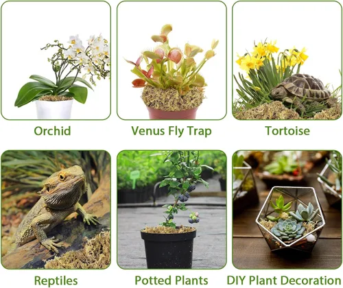 Miniatura 6 de Mezcla para macetas de orquídeas de musgo esfagnum de alta calidad, 25 cuartos de galón de turba natural para plantas, medio de cultivo de plantas