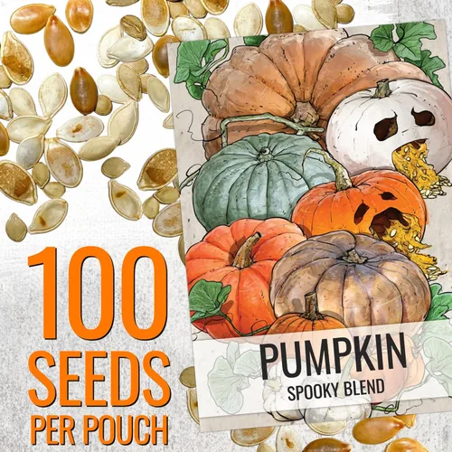 Miniatura 3 de Seed Needs Semillas de calabaza para plantar mezcla espeluznante especial Más de 10 variedades premium Lumina White, Baby Boo, Blue Jarrahdale