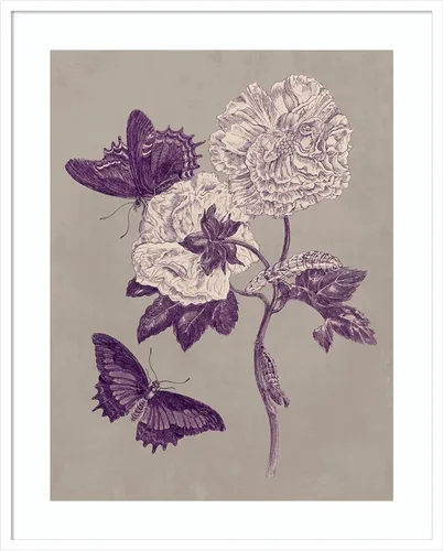 Miniatura 8 de Amanti Art Lienzo decorativo para pared, 24 x 20 pulgadas, estudio de la naturaleza en ciruela y gris pardo IV por Maria Merian, arte de pared
