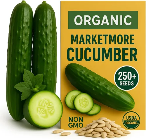 Miniatura 6 de Más de 250 semillas de pepino orgánico Marketmore – Semillas reliquia premium – Perfectas para jardines, camas elevadas y contenedores – Crujientes