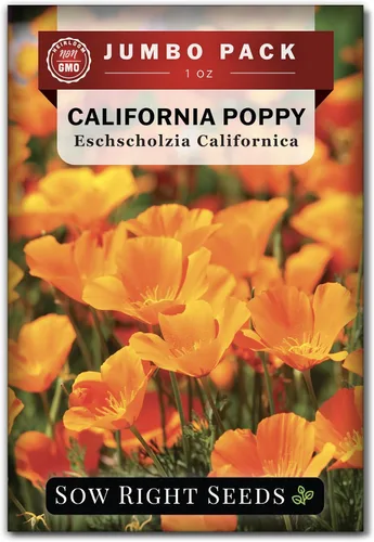 Miniatura 8 de Sow Right Seeds - Semillas de amapola de California para plantar - Paquete de semillas de reliquia sin OMG con instrucciones para cultivar un
