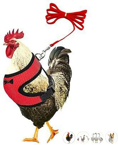 Miniatura 10 de Juego de arnés y correa para pollo, malla ajustable, transpirable, arnés de entrenamiento de pato, correas para mascotas, correas para ganso, Azul