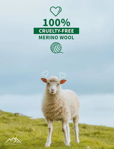 Miniatura 4 de Camiseta de lana merino para hombre Camisas de lana merino de manga corta para hombre Camiseta deportiva de merino ligera para senderismo