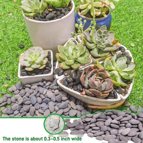Miniatura 3 de Piedras de río de 2.4 libras para plantas y suculentas, paisajismo decorativo al aire libre y rocas de jardín de acuarios