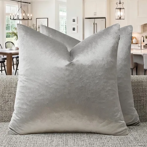 GIGIZAZA - Juego de 2 fundas de almohada decorativas de terciopelo gris plateado para sofá, cama, fundas de cojín suaves (gris plateado, 20 x 20