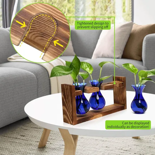 Miniatura 5 de Estación de Propagación de Plantas Terrario de Plantas Regalos Únicos de Cumpleaños para Mujeres Decoración para Hogar y Oficina Maceta con Soporte