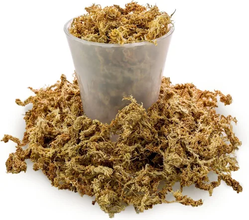 Miniatura 3 de Musgo Sphagnum Premium de Nueva Zelanda por Gardenera - Musgo Sphagnum Orgánico de Fibra Larga Mezclado a Mano para Orquídeas - 4 Cuartos