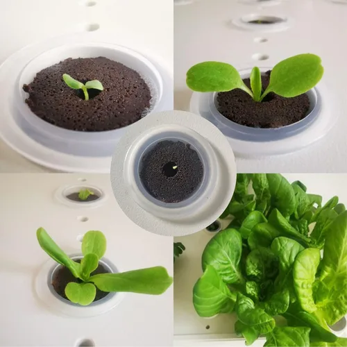 Miniatura 6 de Paquete de 100 esponjas de crecimiento, esponjas hidropónicas compatibles con Aerogarden, iDOO