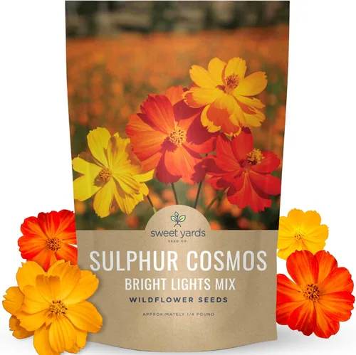 Miniatura 13 de Cosmos Seeds Mezcla de flores silvestres, paquete a granel de 1 onza, más de 5,000 semillas, especies mixtas de rosa, amarillo, naranja, rojo