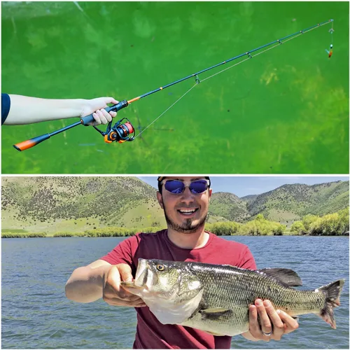 Miniatura 9 de Sougayilang Spinning Combo – 5.2:1 Gear Ratio, 15LB Drag, IM6 Graphite 2-Piece Rod, M/MH Power, Stainless Steel Guides for Bass, Walleye, Catfish