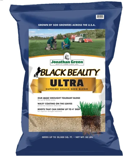Jonathan Green (10324) Black Beauty Ultra Semilla de Césped - Semilla de césped de temporada fría (50 libras)