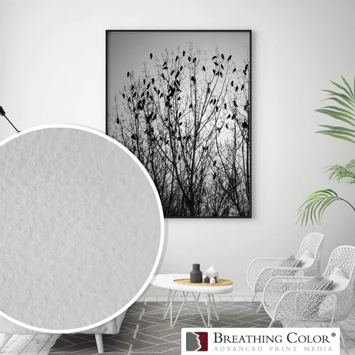 Miniatura 8 de Elegance Velvet - El rollo de 36 pulgadas x 40 pies es un papel de inyección de tinta de alta calidad mate de 310 gsm, blanco brillante prensado