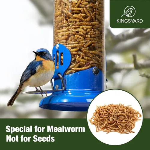 Miniatura 5 de Kingsyard Alimentador para Azulejos Mejorado para Colgar al Aire Libre, Tubo de Metal para Gusanos de la Harina con Percha Ensanchada para Pájaros
