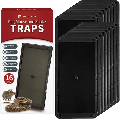 Miniatura 21 de LULUCATCH Trampas para ratones, paquete de 4, trampas de pegamento más grandes y pesadas para ratones, ratas y serpientes, trampas adhesivas
