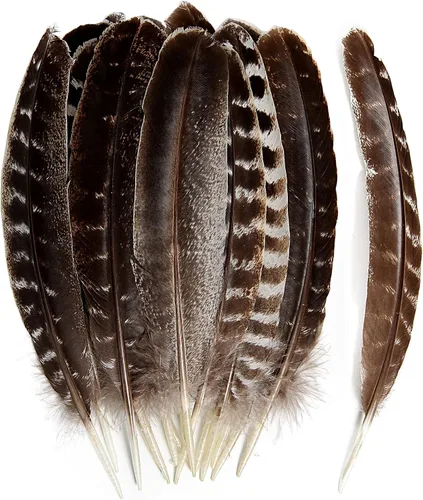 Miniatura 9 de THARAHT 24 plumas de faisán femenino, plumas naturales de 6 a 8 pulgadas, 5.9-7.9 in para manualidades, hogar, boda, fiesta, actuación, decoración