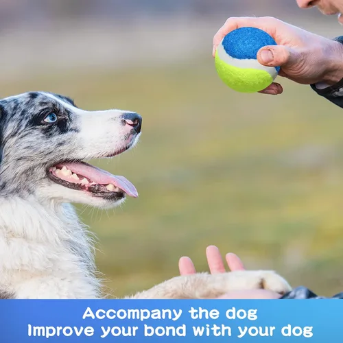 Miniatura 4 de Yunsailing 30 pelotas de tenis para perros, pelotas de tenis para mascotas, pelotas de entrenamiento para perros pequeños, medianos y grandes