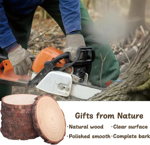 Miniatura 3 de 10 piezas de rebanadas de madera sin terminar de 6 a 8 pulgadas para centros de mesa, redondas de madera natural para manualidades, decoración