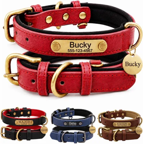 Miniatura 10 de Collar de cuero para perro personalizado y juego de correa, personalizado con diseño acolchado suave y resistente con placa de nombre grabada