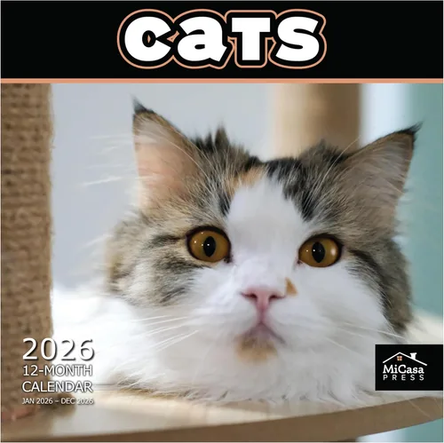MICASA PRESS Calendario de pared de gatos 2026 de 12 meses | 12 x 24 pulgadas abierto | Papel grueso y resistente | Regalo de vacaciones | Lindo