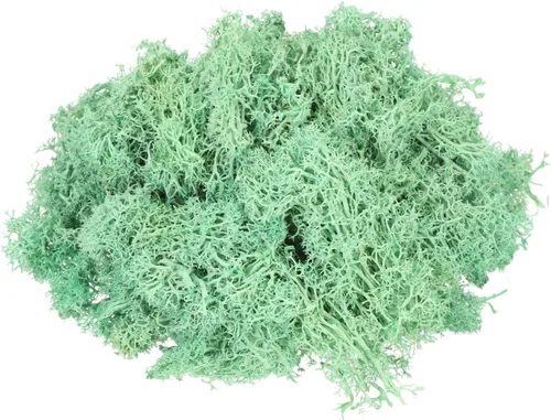Miniatura 13 de MECCANIXITY Musgo de reno preservado de 4.6 onzas, musgo artificial decorativo gris para plantas en maceta, manualidades de interiores, centros