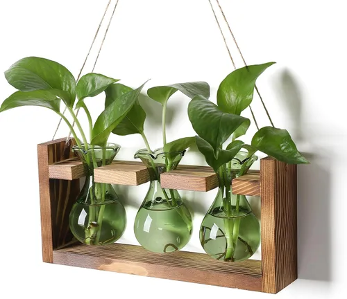 Miniatura 15 de Estación de Propagación de Plantas Terrario de Plantas Regalos Únicos de Cumpleaños para Mujeres Decoración para Hogar y Oficina Maceta con Soporte