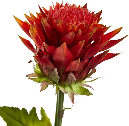 Miniatura 2 de Nearly Natural Planta artificial de flores tropicales de 33 pulgadas (juego de 6), color rojo